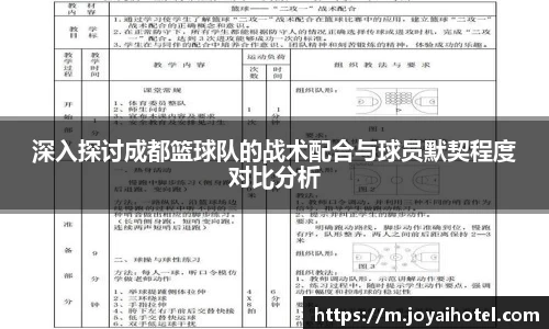 深入探讨成都篮球队的战术配合与球员默契程度对比分析