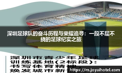 深圳足球队的奋斗历程与荣耀追寻：一段不屈不挠的足球纪实之旅
